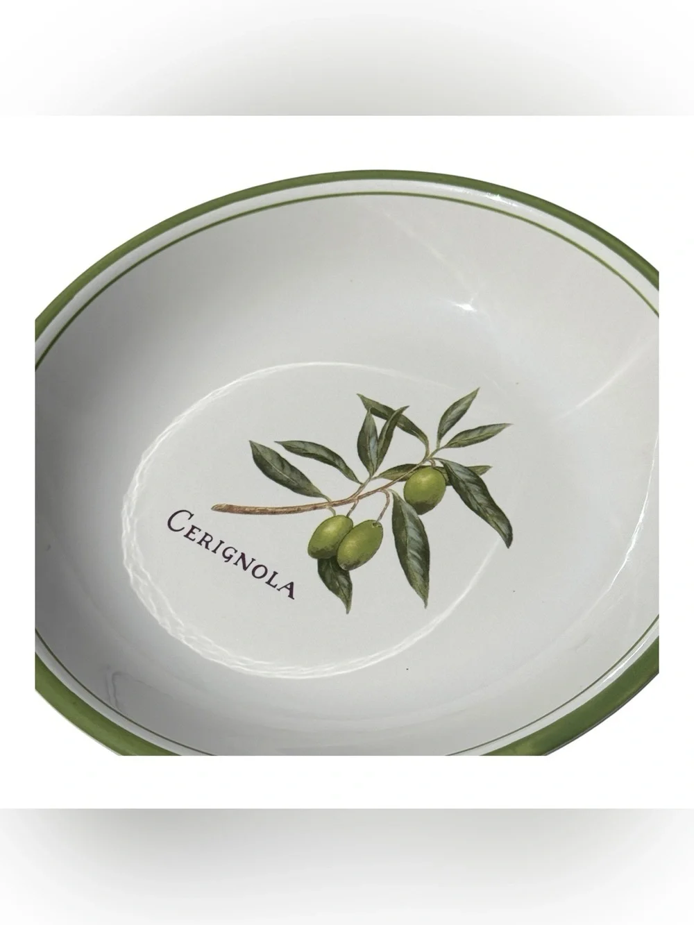 Williams Sonoma Olive Grove Cerignola Pasta Bowl Portugal Green Olive Dish 9.5”